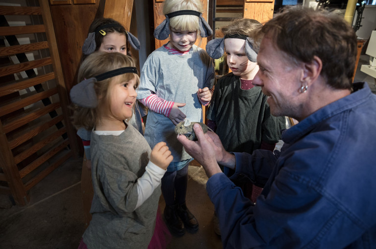 Bild 5 zu Angebot M&auml;useabenteuer