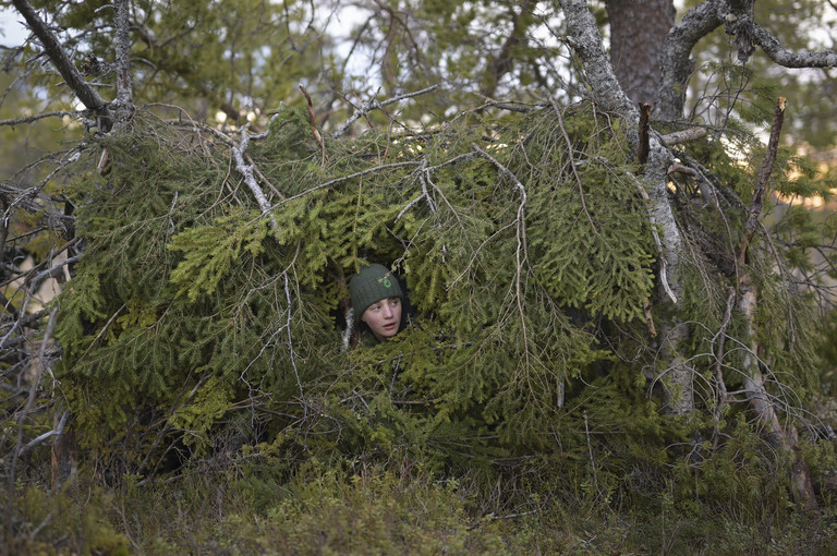 Bild 4 zu Angebot Le Chant des for&ecirc;ts