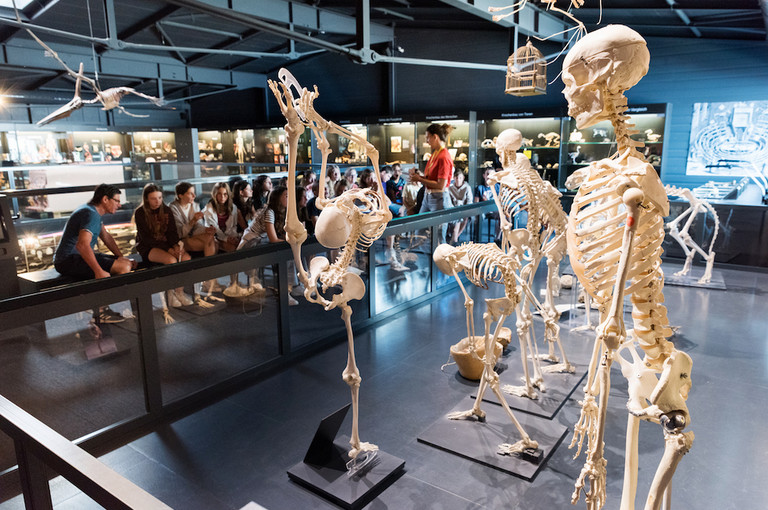 Bild 4 zu Angebot Zeitreise durch unser Leben