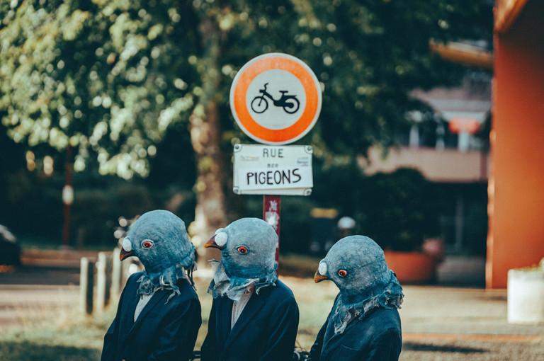 Bild 6 zu Angebot Sfumato / Blickfelder Festival