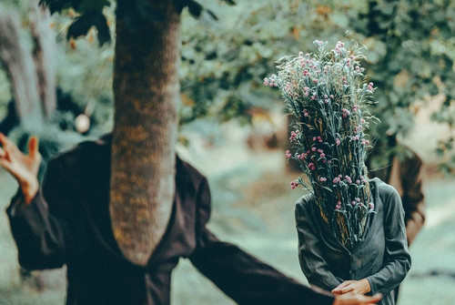 Bild zum Angebot Sfumato / Blickfelder Festival