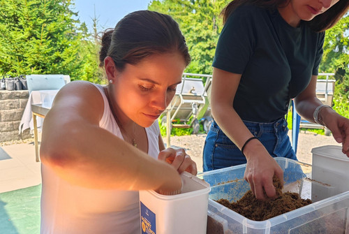 Bild zum Angebot Die Abenteuer der Pilzfreunde &ndash; Schulworkshop von Z&uuml;ripilz