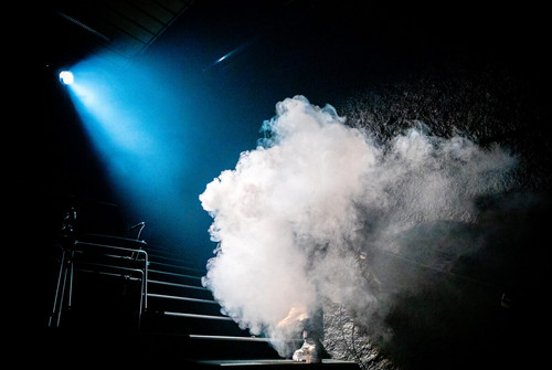 Bild zum Angebot Dunst