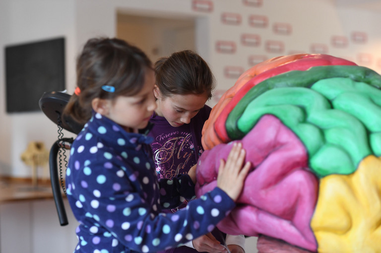 Bild 2 zu Angebot Unsere Sinne