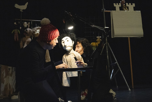 Bild zum Angebot Rosa 