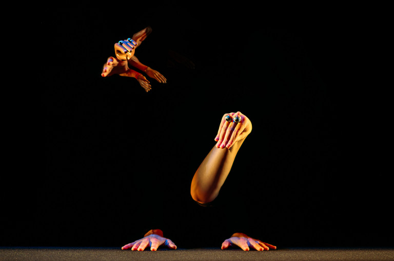 Bild 5 zu Angebot Hopeful Monsters / Blickfelder Festival