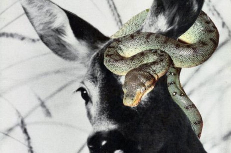 Bild 5 zu Angebot huber.huber