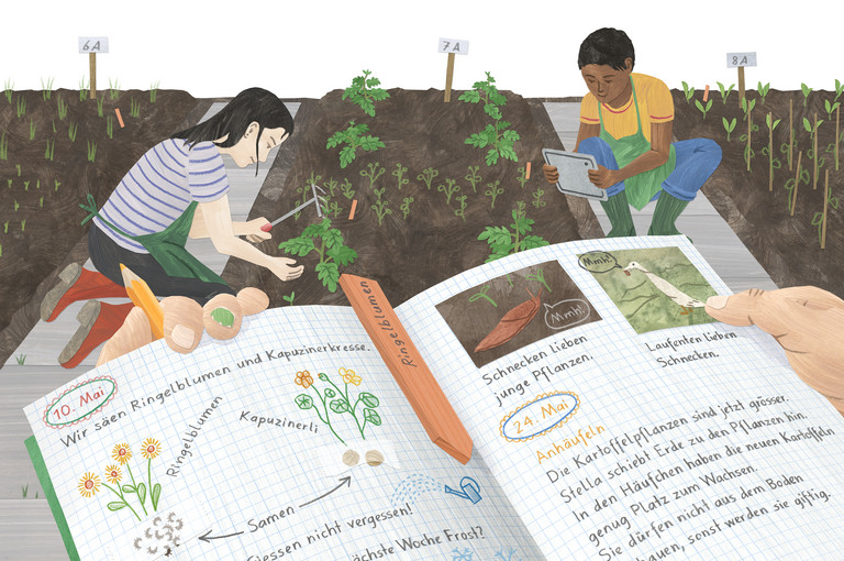 Bild 2 zu Angebot Supino Franco