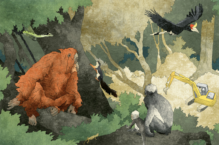 Bild 2 zu Angebot Rappo Petra